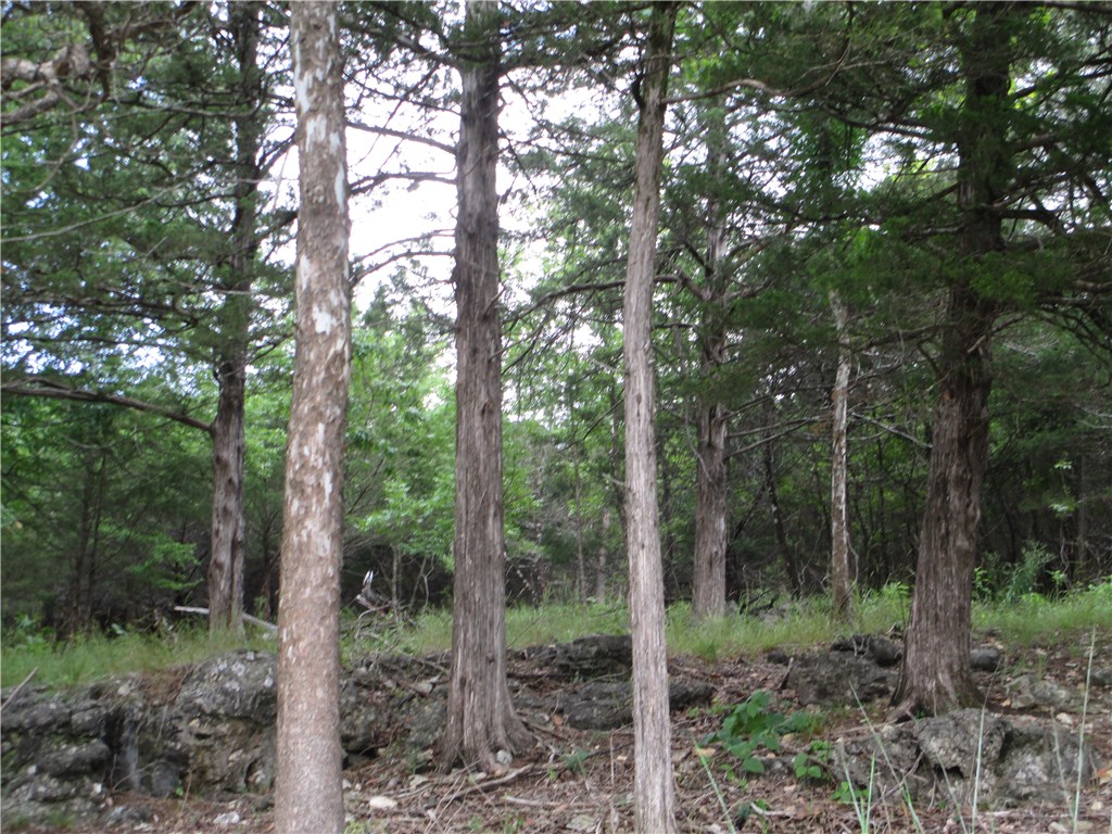 Unit 117 Holiday Island - Land