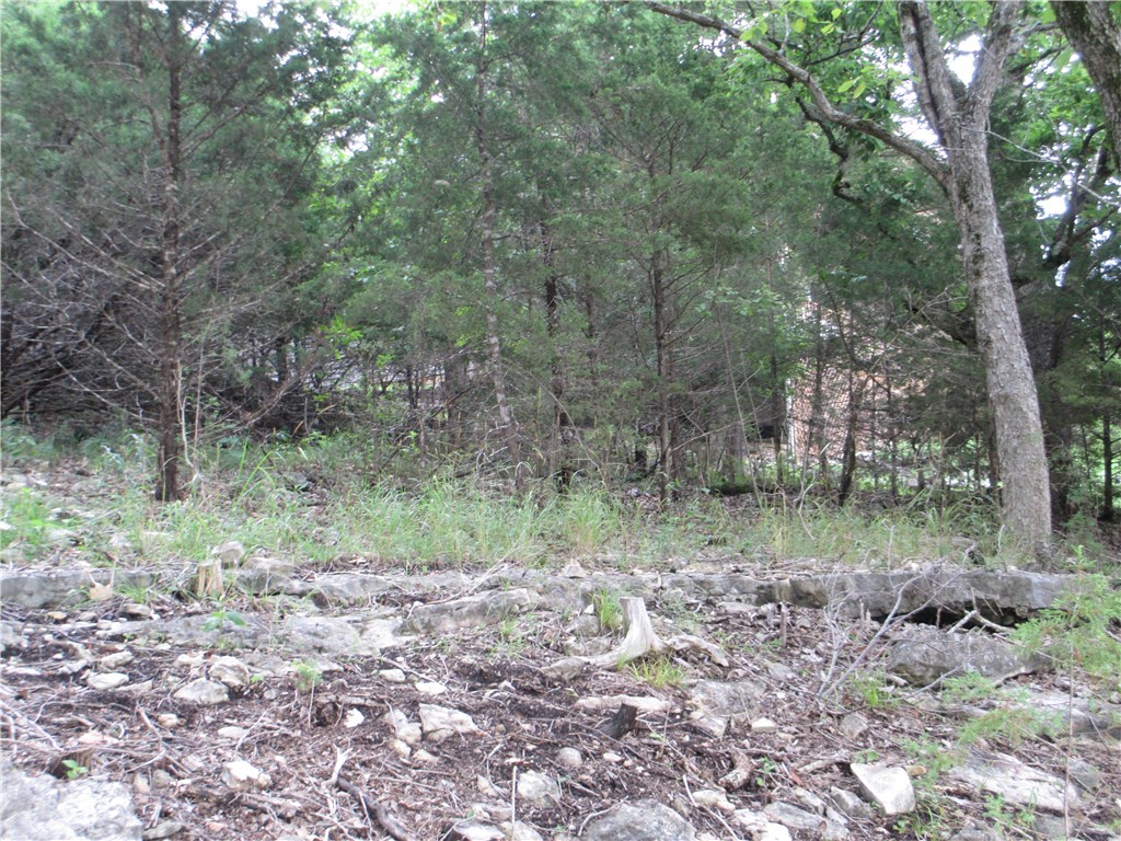 Unit 117 Holiday Island - Land