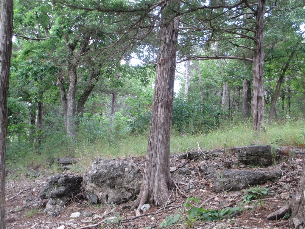 Unit 117 Holiday Island - Land