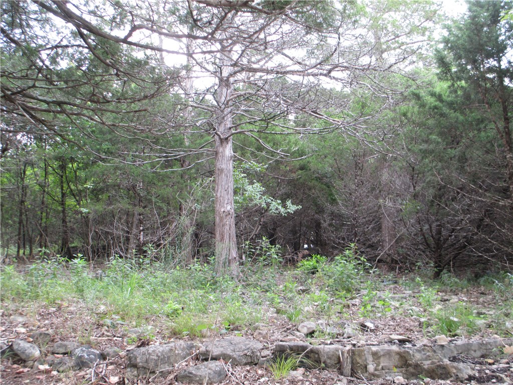 Unit 117 Holiday Island - Land