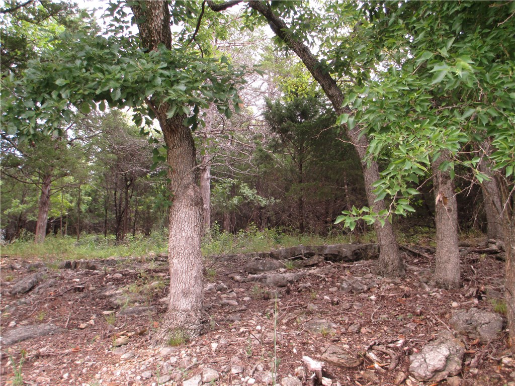 Unit 117 Holiday Island - Land
