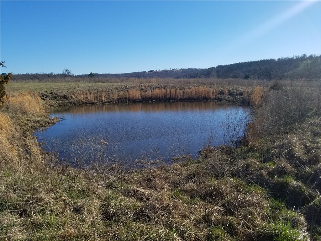 - - Land