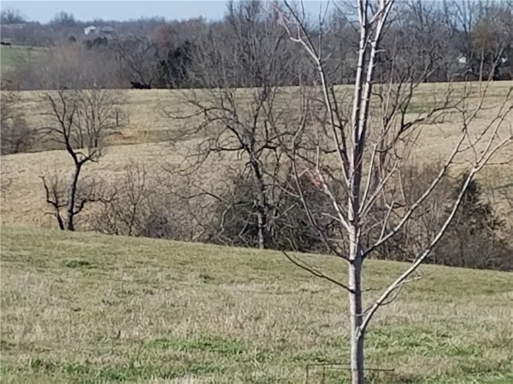 - - Land