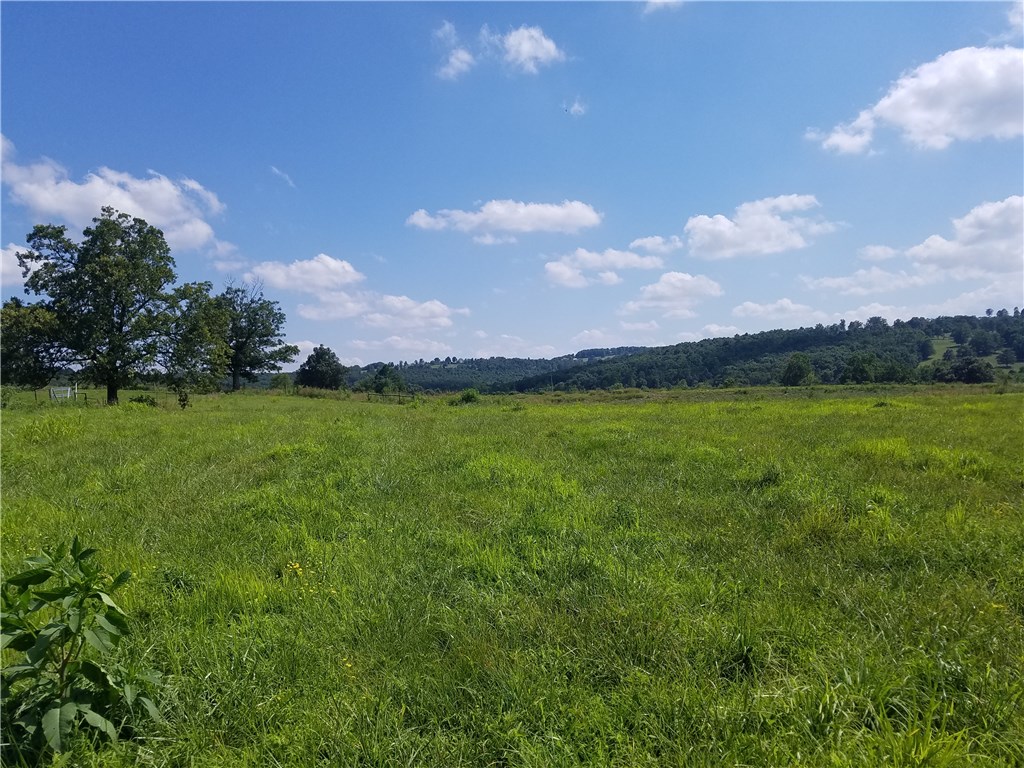 - - Land