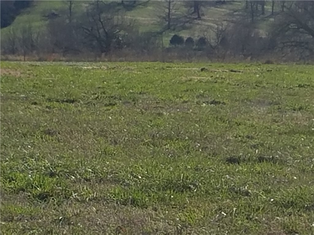 - - Land