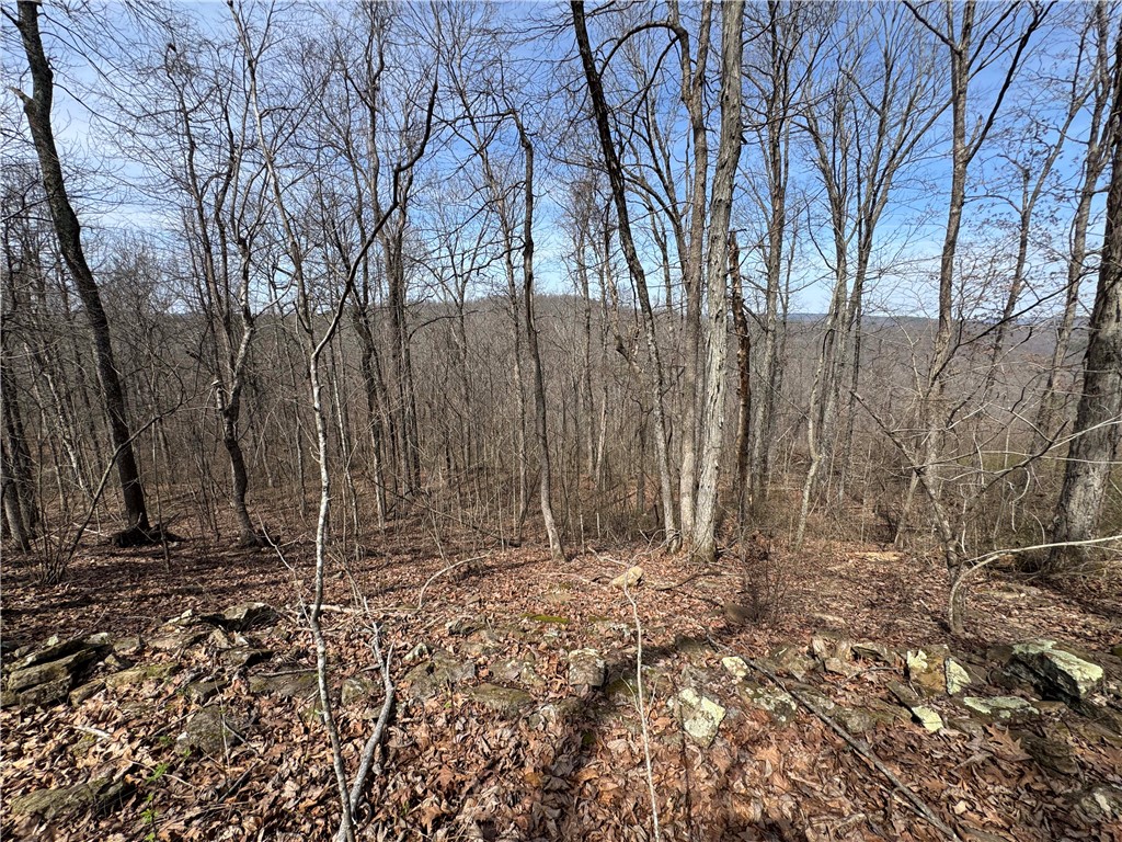This 2.59-acre tract offers an excellent opportunity to own property directly on Hwy 7 in Pelsor, Arkansas. With paved highway frontage and bordering National Forest, this parcel is well-suited for a cabin, home, or recreational basecamp in the Ozarks. Located just a short drive from Jasper and the Buffalo National River, the property provides convenient access to some of the area’s best hiking, floating, and outdoor recreation. Surrounded by public land, trails, and abundant wildlife, it’s an ideal spot for those looking to enjoy both relaxation and adventure. Utilities are readily available, with access to power and water nearby, making development straightforward. Whether you’re looking to build, invest, or secure a getaway property in a highly desirable area, this tract combines location, accessibility, and natural beauty. Additional 2.8 acres available MLS 1341676