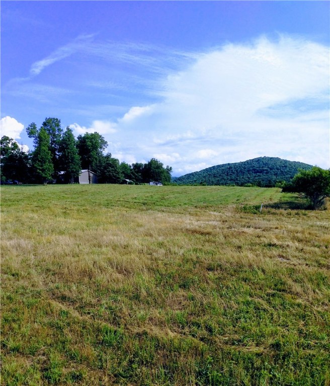 None - Residential