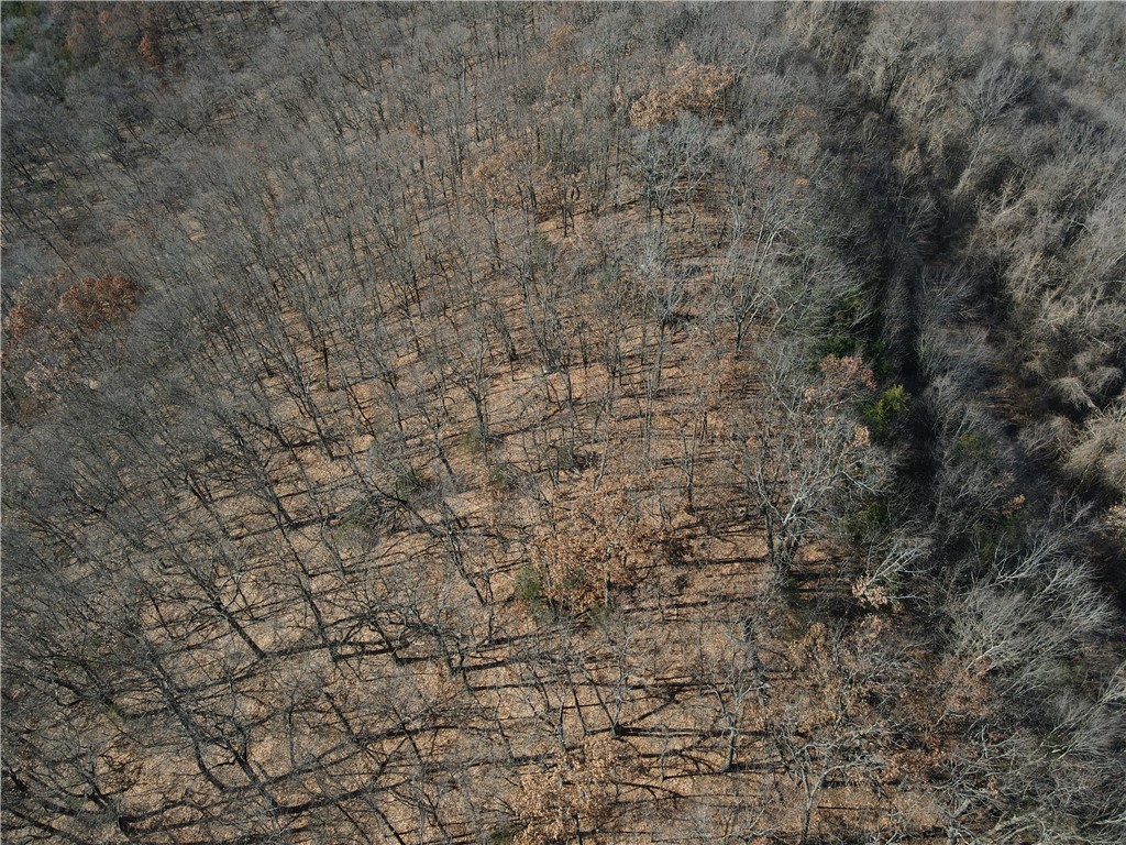 Cisco Hills - Land