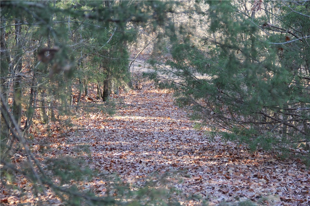 Cisco Hills - Land