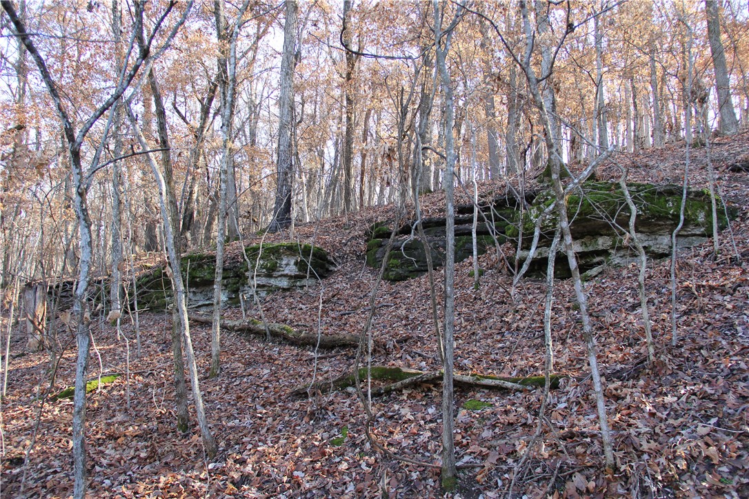 Cisco Hills - Land