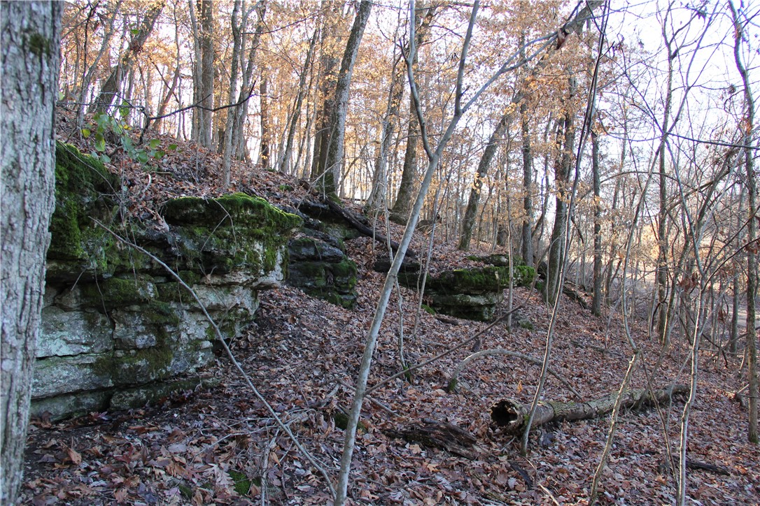 Cisco Hills - Land