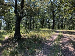 Country Acres - Land