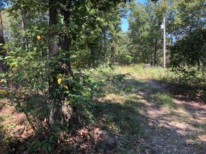 Country Acres - Land