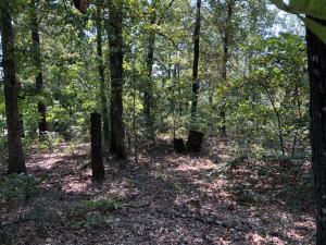 Country Acres - Land