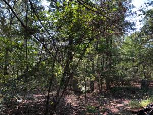 Country Acres - Land