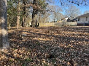 Other Subdivision in Johnson Co - Residential