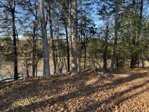 Other Subdivision in Johnson Co - Residential