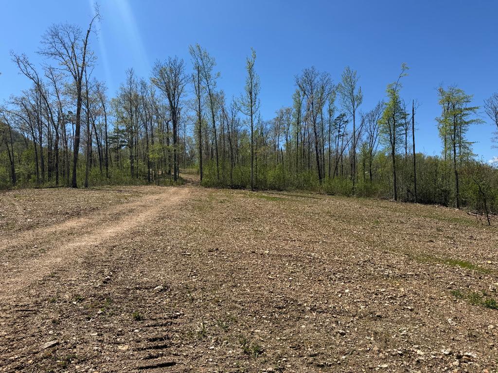 25 acres located just off Highway 74 East in Newton County.
