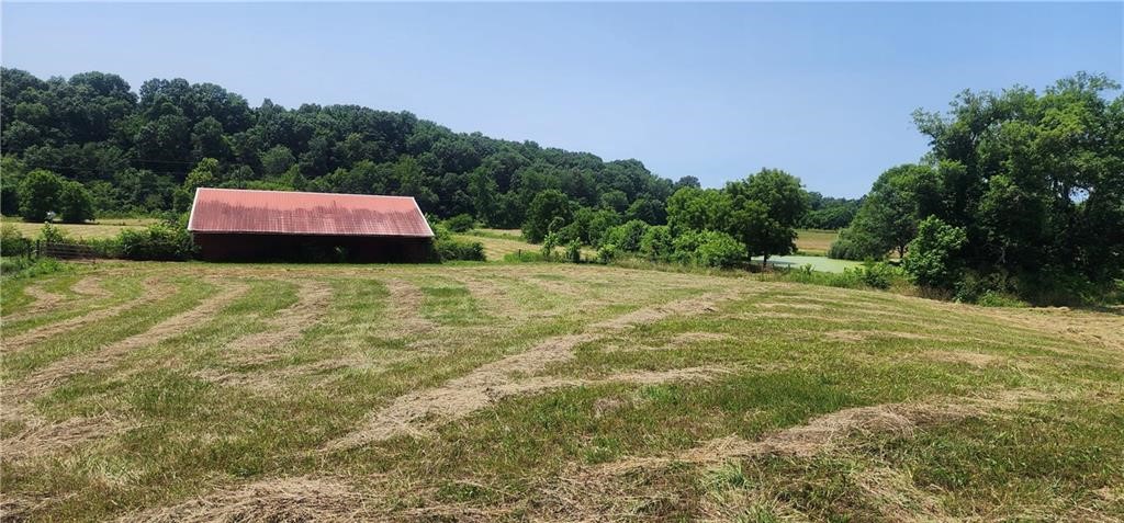 Rare find! 11.76 acres in the City of Elm Springs. Build your dream home on this gorgeous property. Electric, city water and sewer at road. The property features a spring fed pond for a little fishing on your down time. The 60 x 65 barn is perfect for a few farm items to keep the property pristene. Brush Creek runs through the back of the property. Back of property is partially in a flood plain. No singlewide, doublewide mobiles or modular homes. Buyer due diligence with the City of Elm Springs for any property concerns. Listing agent is 1/3 owner.