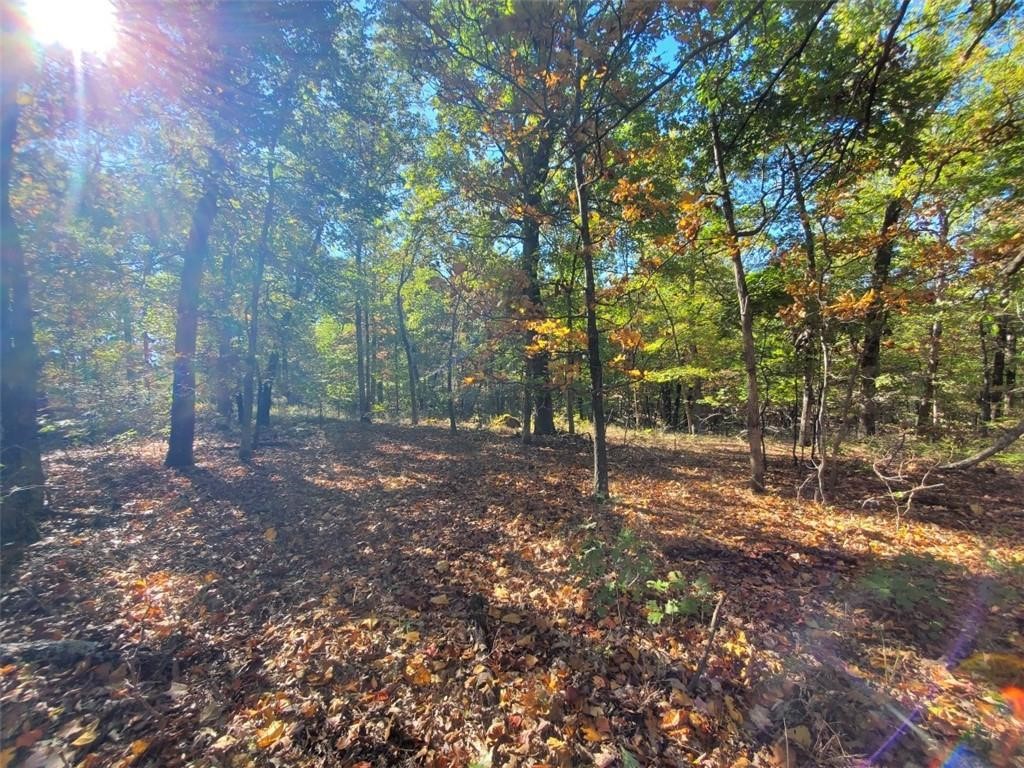Build your dream home with plenty of outdoor space on this 5.05 acres! This property lays really nice and
would be an amazing location just outside of Fayetteville! Approximately 10 minutes to I49 at Wedington
exit and about 15 minutes to Farmington and Prairie Grove. Agent Owned
