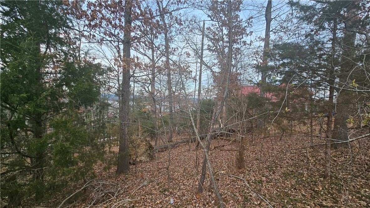 Rivercliff Village Rurban - Land