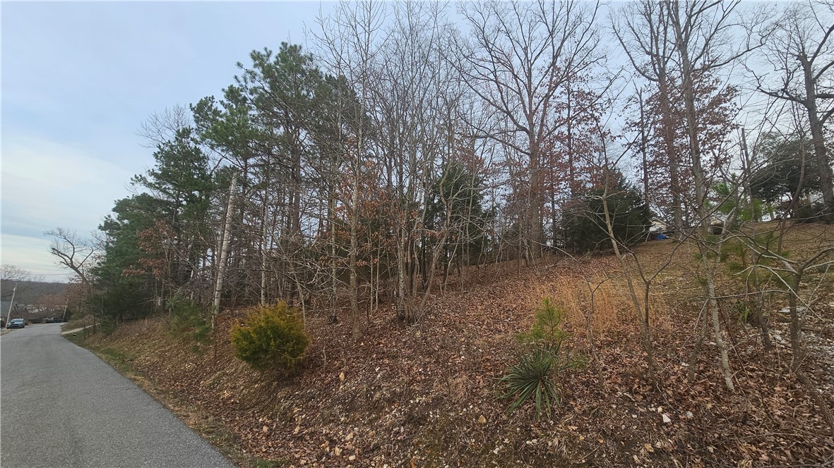 Rivercliff Village Rurban - Land