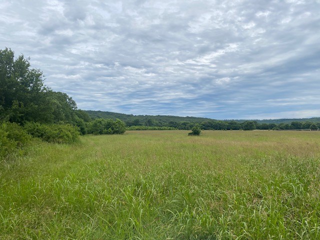 Elkins Outlots - Land