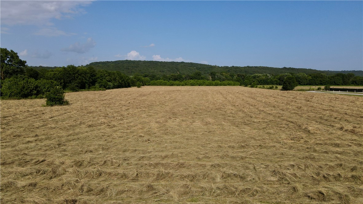 Elkins Outlots - Land