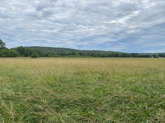 Elkins Outlots - Land