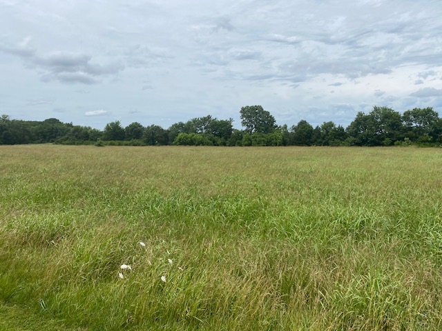 Elkins Outlots - Land