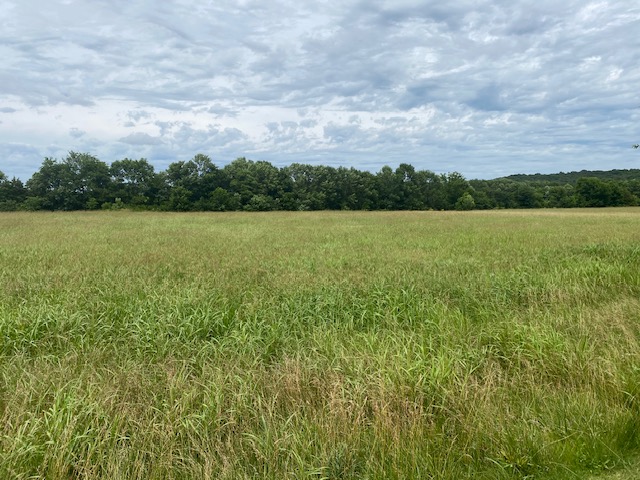 Elkins Outlots - Land