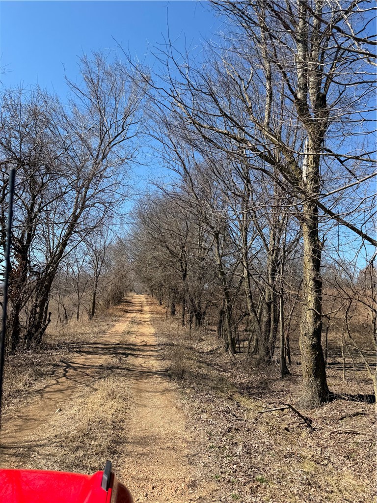 Ozark Orchard Co Sub Rurban - Land