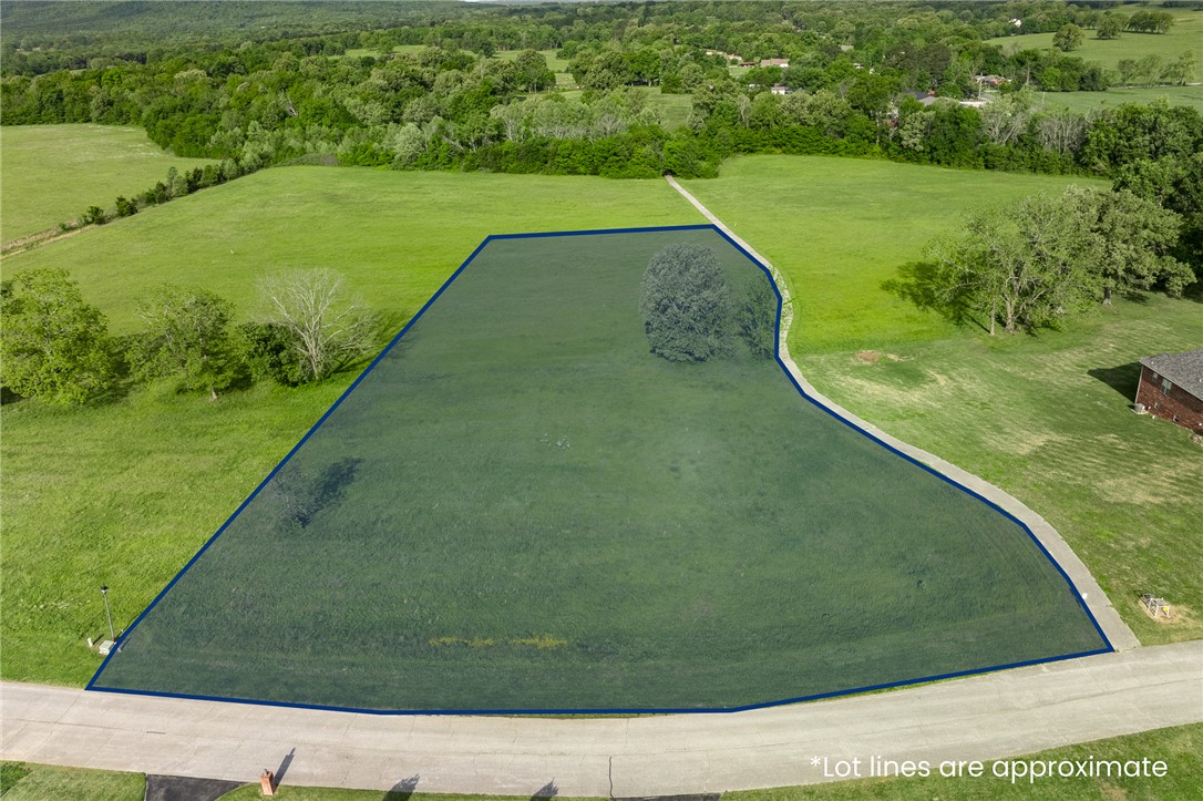 Build the home you’ve always imagined on this large 2.81 acre lot located in one of Harrison's most desired neighborhoods. With plenty of room to create your dream home, pool, outdoor living space, and still enjoy privacy, this property is supreme in characteristics it offers.  Important note:  This lot is no longer considered to be in a flood plain according to the FEMA Estimated Base Flood Elevation Study (see pics for map and legend). Utilities (gas, electric and water) are underground and at the street, making the building process easier and ready for you to start now.  *Septic system will be needed.  Only a few minutes to all Harrison has to offer and within easy reach of Table Rock Lake, Branson, MO, Lake Taneycomo, Bull Shoals Lake, White River, Buffalo National River, Kings River and Eureka Springs - along with endless opportunities for fishing, hiking, camping, and exploring.