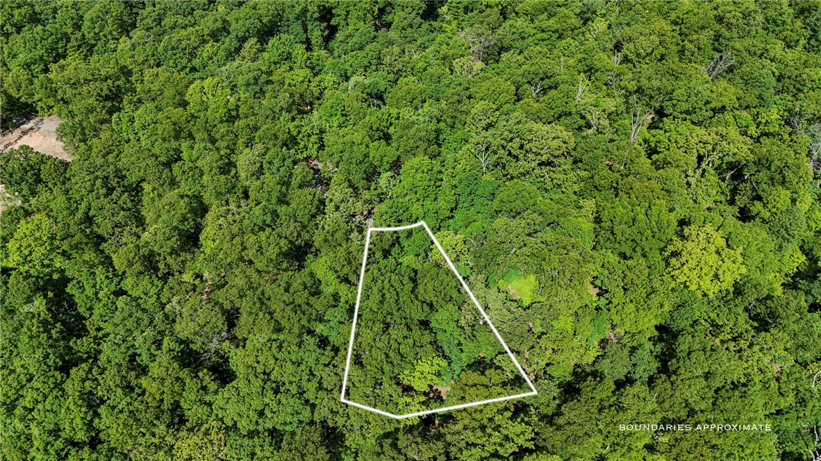 Build your dream home on this beautiful vacant lot featuring a successful perc test approved for a 3-bedroom septic system Tucked away in Northwest Bella Vista, this lovely & private lot offers the perfect opportunity to build your own slice of heaven! Enjoy the peace & seclusion of a wooded setting while still having convenient access to everything the area has to offer. Located just one block from the Missouri line, this property gives you the best of ARKMO living, combining the beauty & amenities of Bella Vista with quick access into Missouri via nearby CR SW 9024. Whether you’re planning your dream home, a getaway retreat, or an investment property, this secluded lot is full of potential & ready for your vision.