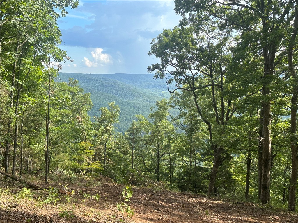Breath taking mountain top views, close to Hwy 7, water and electric available, and no building restrictions. Large hardwood timber with multiple building sites. This is a must see if you are looking for a building site with a view in Newton County.  Will divide.