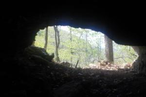 Some of the prettiest, deepest Ozark Mountain woods you'll find with seasonal gorgeous Running Creek which has aquamarine blue water in it's pools - Running Creek headwaters and multiple seasonal springs located on this property!  Cave with civil war graffiti on the walls made from the old carbide lamps.  Some 4 wheeler roads made throughout.  Multiple building sites.