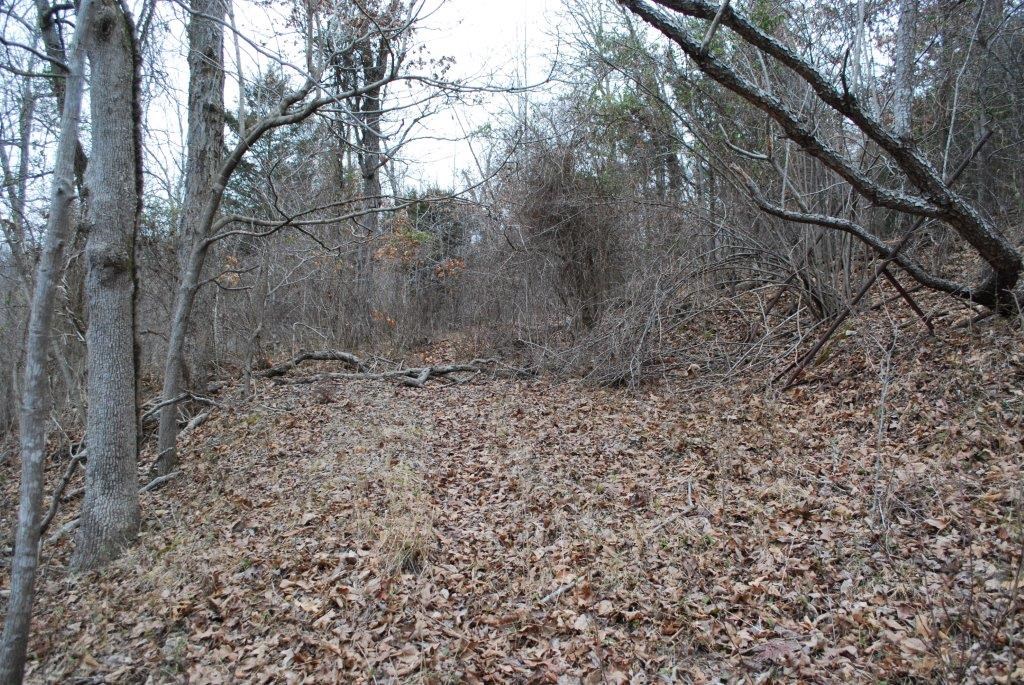 Monte Ne Shores Unit 4 Rurban - Land
