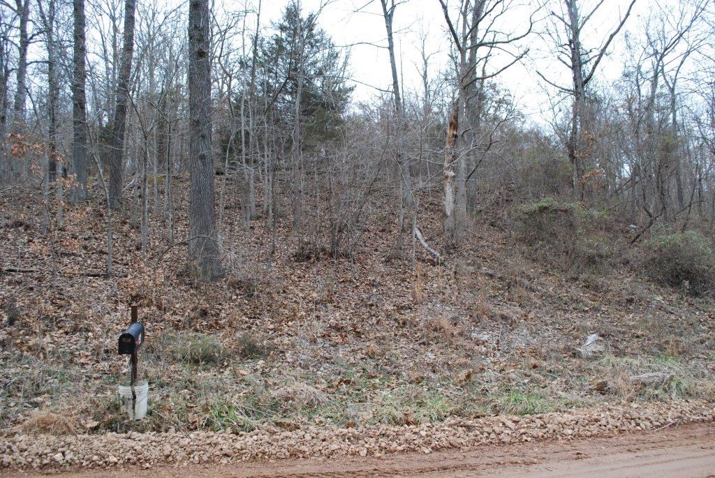 Monte Ne Shores Unit 4 Rurban - Land