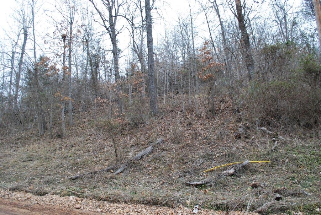 Monte Ne Shores Unit 4 Rurban - Land