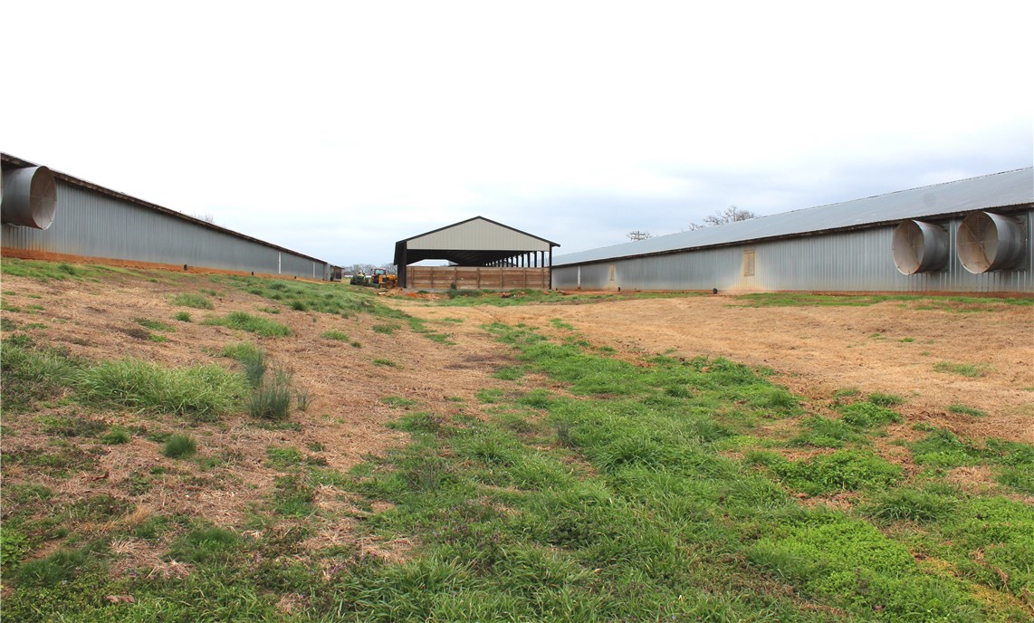 . - Farm