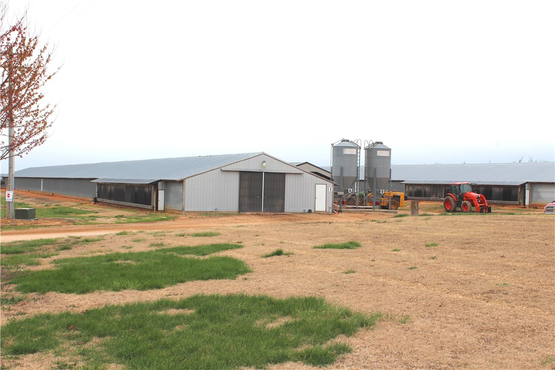 . - Farm