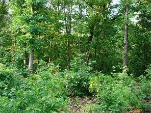 Near Jane Wal-Mart & Bella Vista Towncenter, Bentonville schools, buyer to confirm sewer availability, Bella Vista amenities.