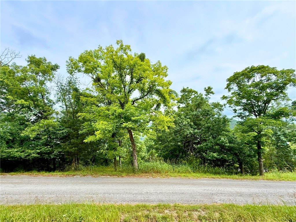 Exceptional building opportunity on Beaver Drive in the highly desirable island section of Holiday Island! Nestled in a peaceful, quiet neighborhood, this beautifully wooded lot offers incredible potential for seasonal views of Table Rock Lake, expertly showcased by the cleared lot directly next door.

Enjoy the ultimate island lifestyle with unbeatable convenience: you are just minutes from the Holiday Island Marina for effortless lake access, 5 minutes to the golf course, and surrounded by local hiking trails and lake activities, all while being a quick 15-minute drive into historic downtown Eureka Springs.

Build your custom dream home or vacation getaway in an established community with utilities available at the street.