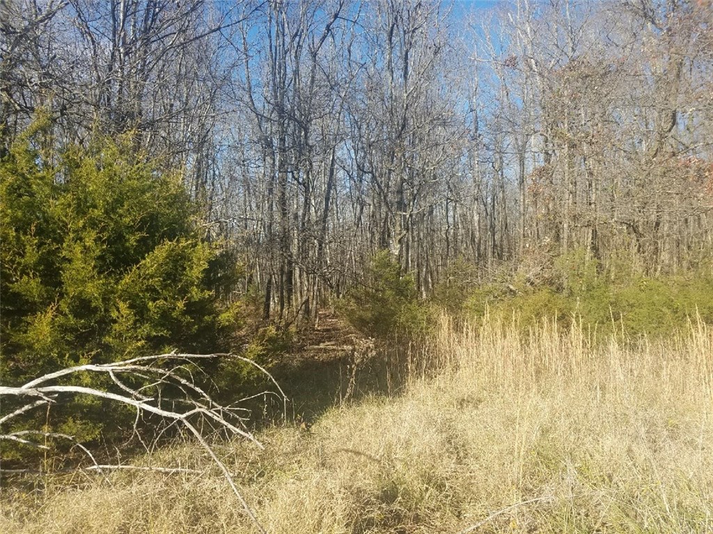 . - Land