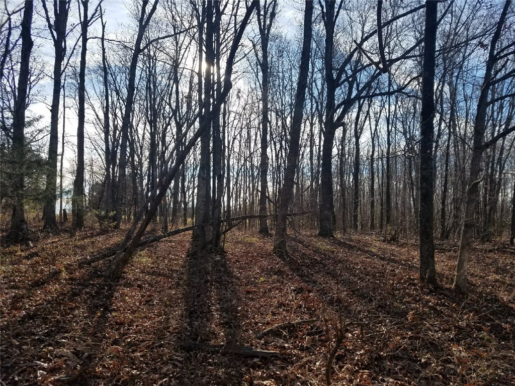 . - Land