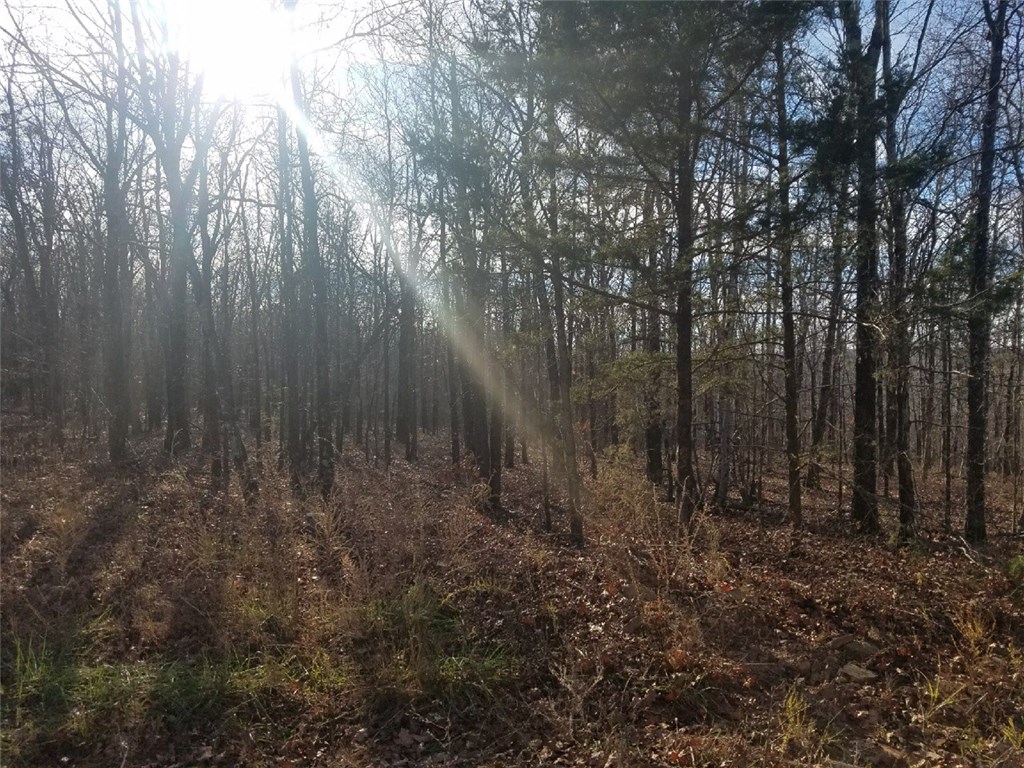 . - Land
