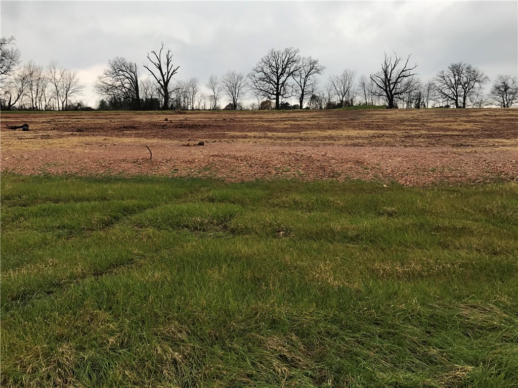 New subdivisions in Bentonville with a dog park and a community pool, great location.