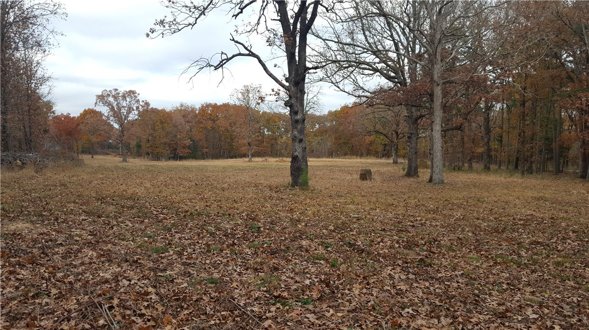 Great 10 acre getaway within a 25-mile drive of Fayetteville. With 2 level acres cleared, new septic tank (1,000 gallon), water tap and electric meter, this property is Ready for Your Dream Home or Your Hunting Cabin!