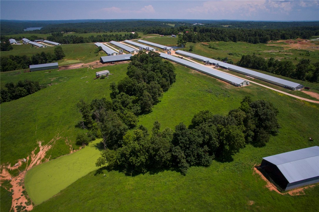 Chicken Ridge - Farm