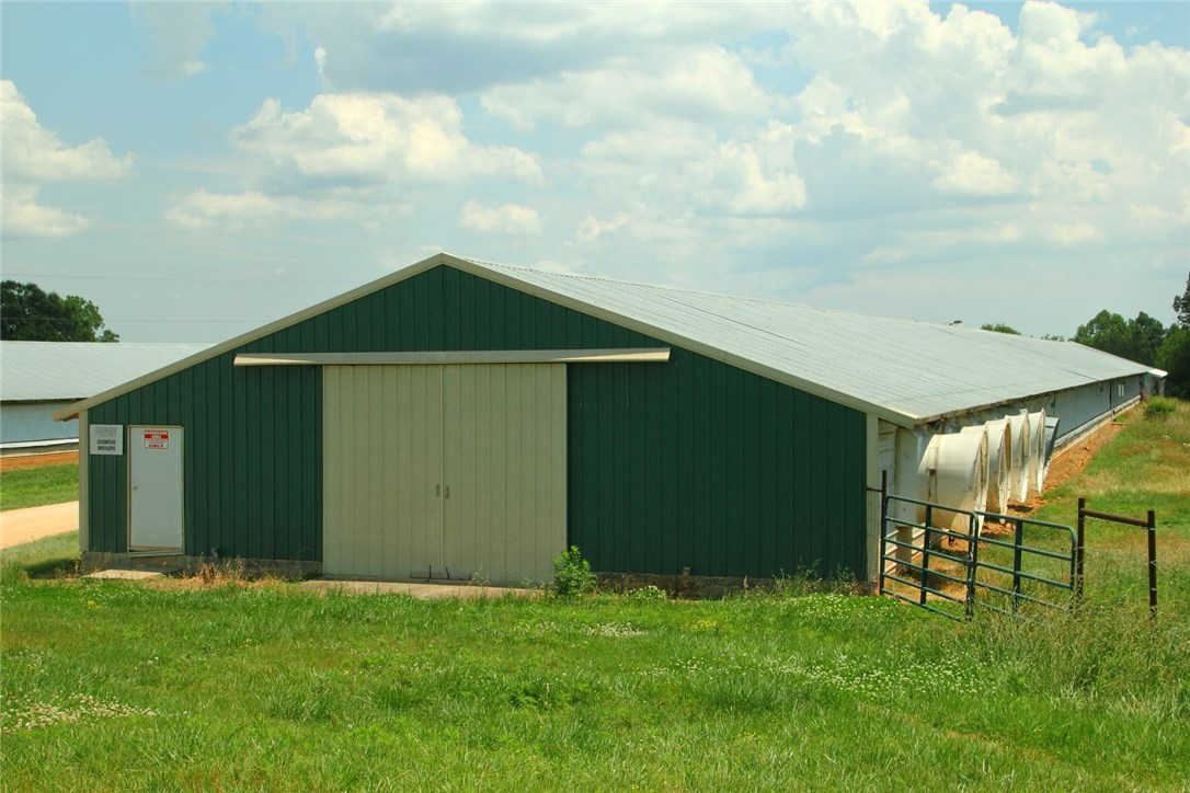 Chicken Ridge - Farm